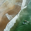 Surfer Girls
